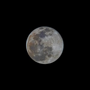 Day 28 - Full Wolf Moon on 1-28-21