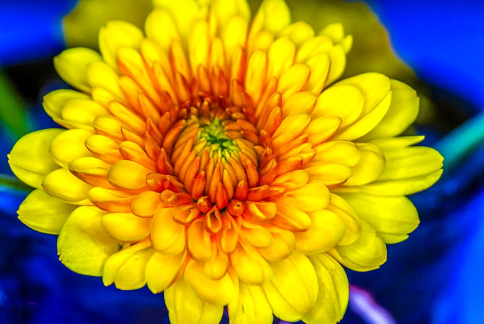 DSCF1029