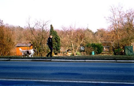 Praktica MTL3 + Helios 44-2 2/58 - Man Walking a Dog