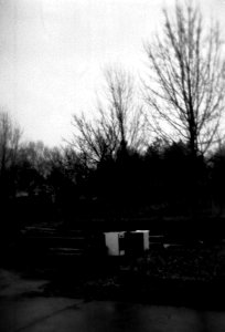 Holga 120FN - Garbage and Trees