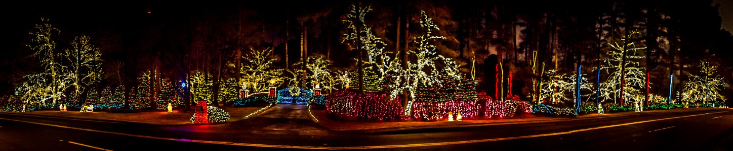 Day 346 - 'Tis the Season