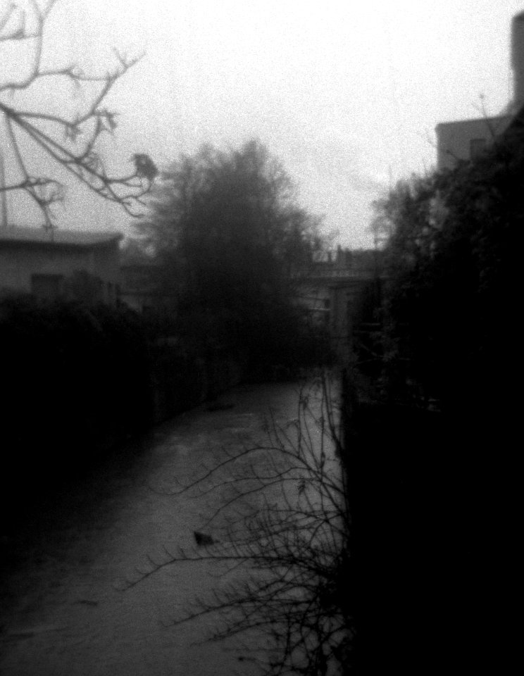Holga 120FN - Ponávka River