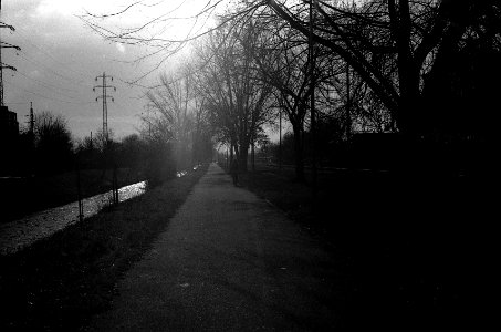 Exa + Tessar 2,8/50 - Svitava Riverbank next to the former Slaughterhouse 04