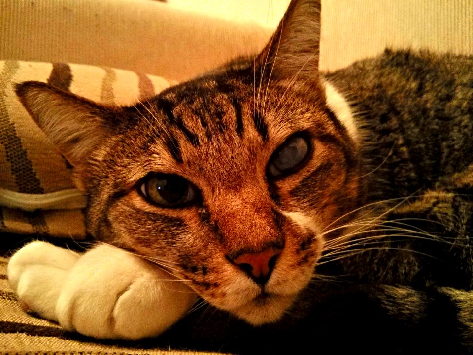 20140718 215347 HDR