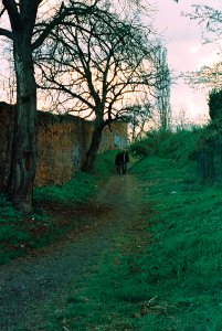 Canon EOS 30 - Another Old Path in the City
