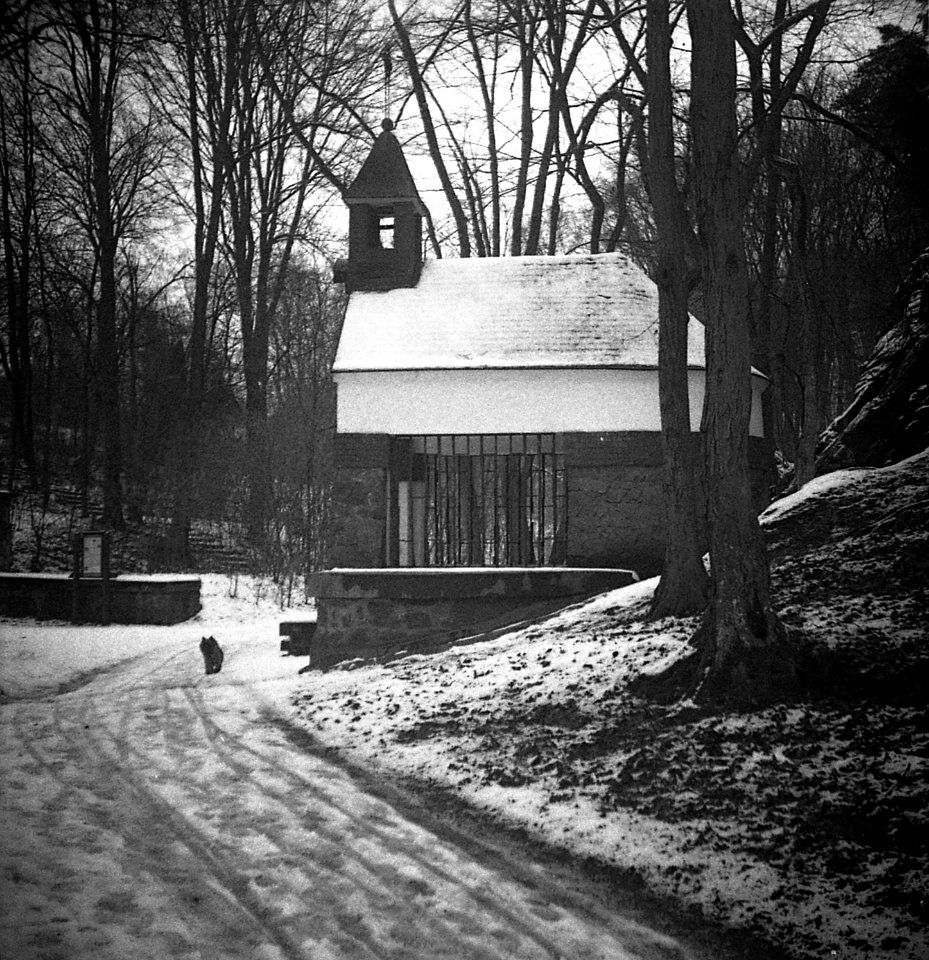 Altix I - Chapel of At. Anthony in Brno-Lesná 04