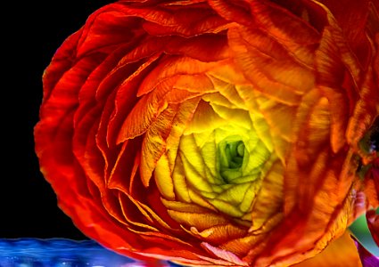 DSCF0896