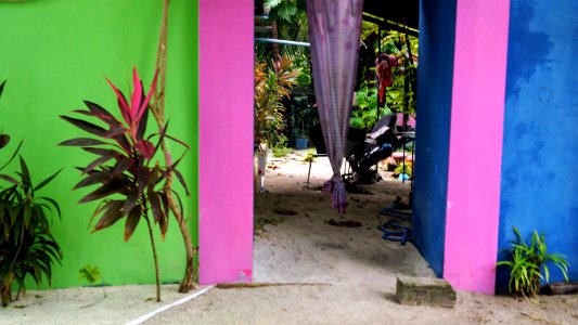 DSC02118