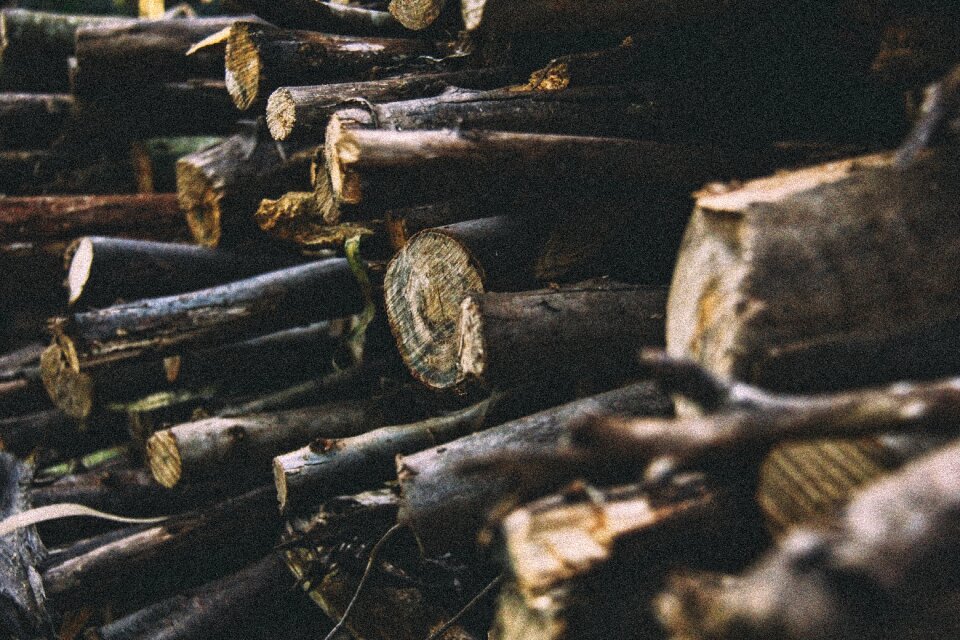 Lumber pile forestry