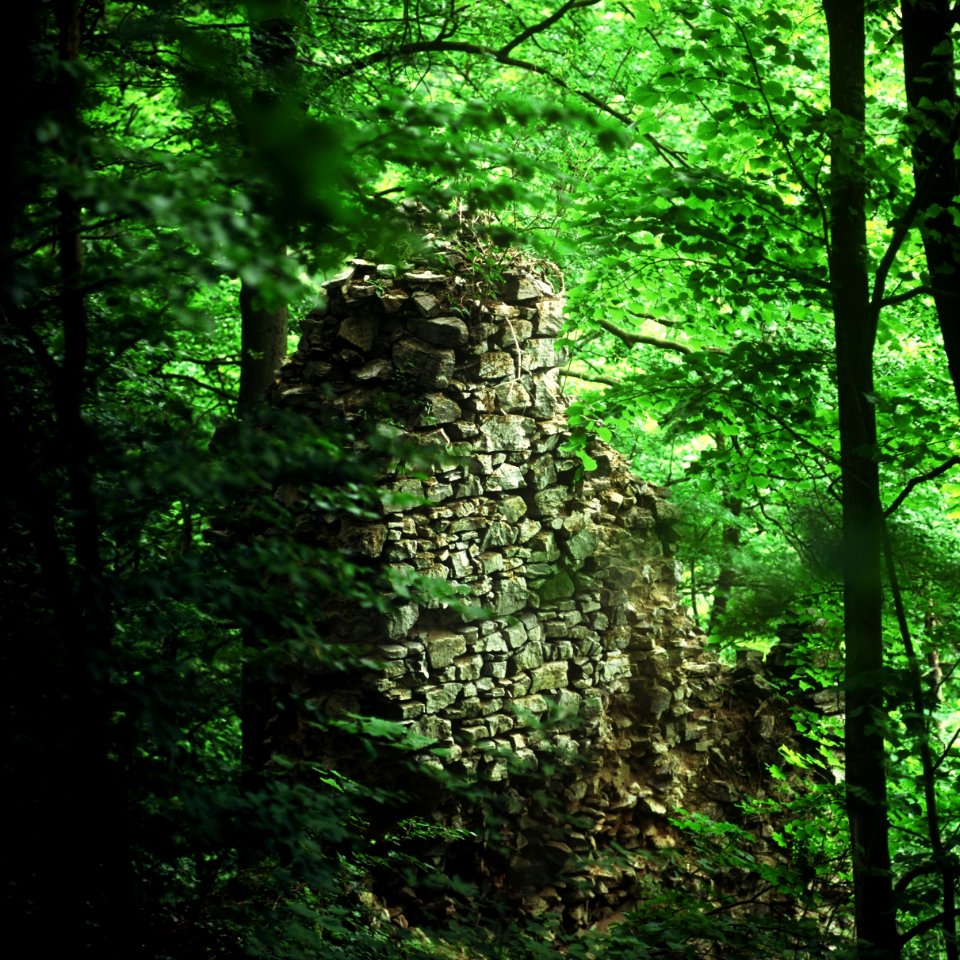 Pentacon Six + MC Biometar 2,8/120 - Ruins of Blansek Castle 1