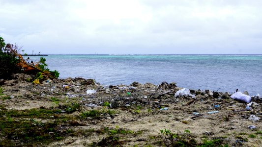 DSC01936