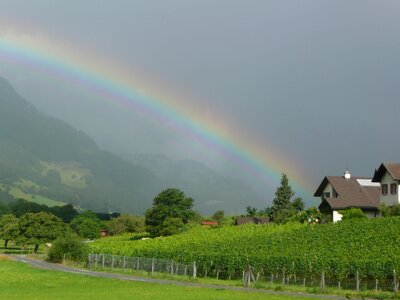 Vines reported rainbow colors
