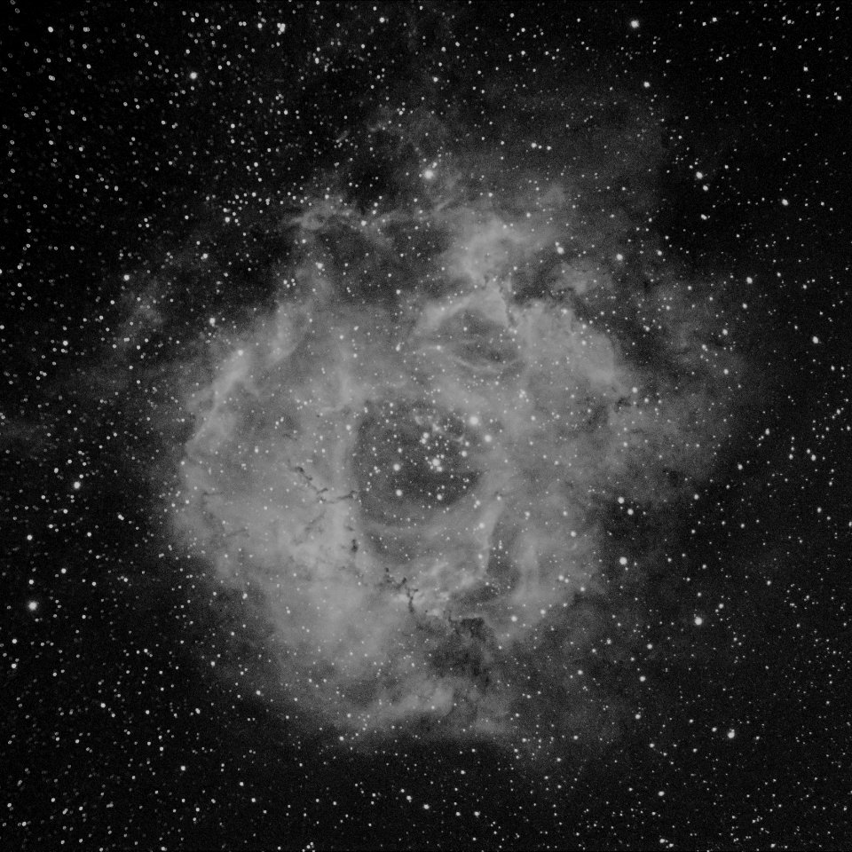 Rosette Nebula in Hydrogen-alpha