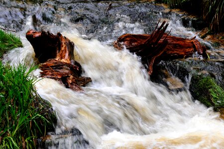 Flow nature white water
