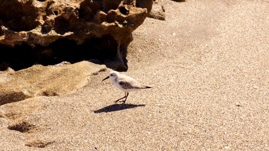 Florida1 (13)