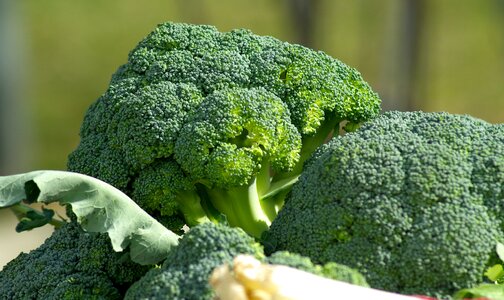Cabbage market vitamins
