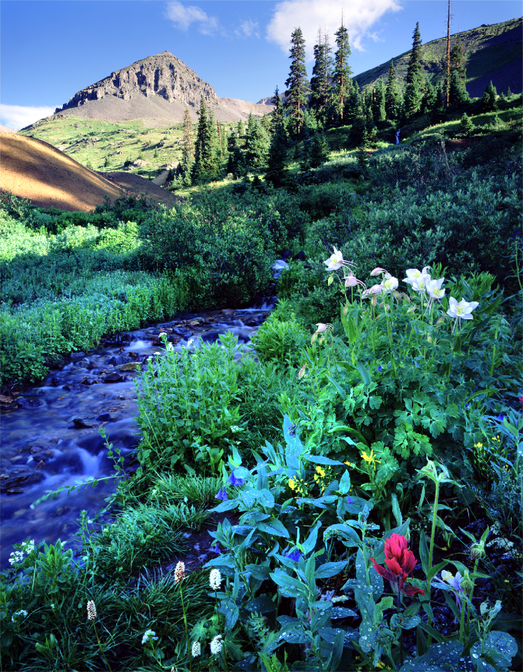 Ouray mine tailings countryside