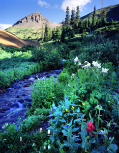 Ouray mine tailings countryside