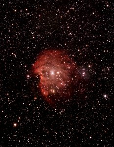 Monkey Head Nebula