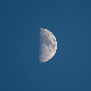Day 52 - First Quarter Moon from 2-19-21.