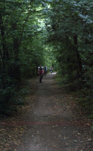 Zenit 12SD + Industar-50-2 - Cyclist in the Forest 2 photo