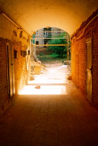 Vilia-Auto - Golden Passageway
