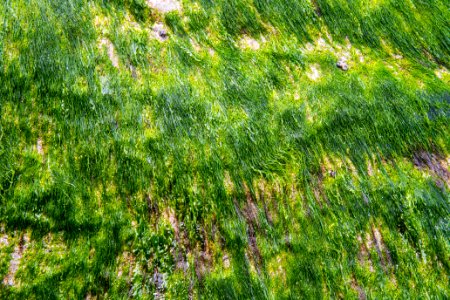 beach textures