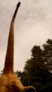 DSC09421