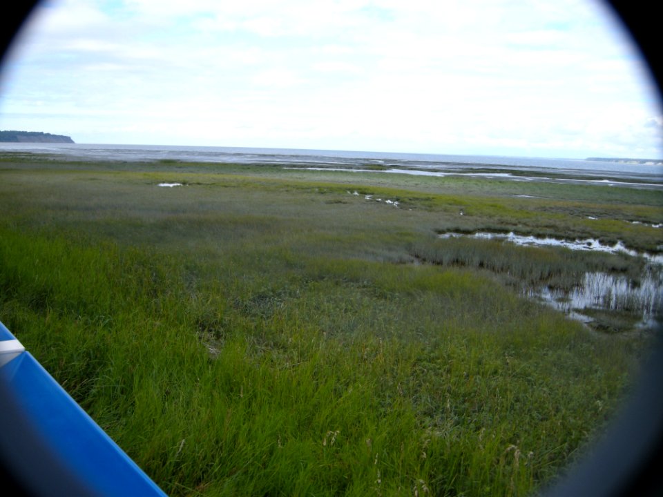 DSCN0530c Tony Knowles Coastal Trail +Westchester Lagoon Anchorage AK 8-17-2018