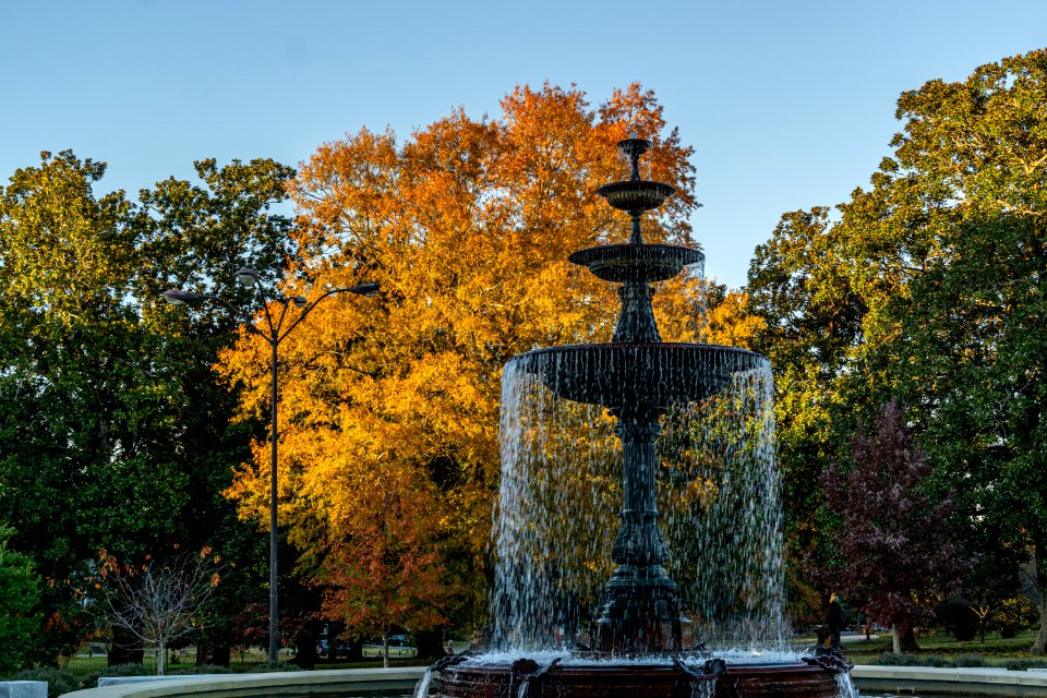 Fall Colors at Tattnall Square Park
