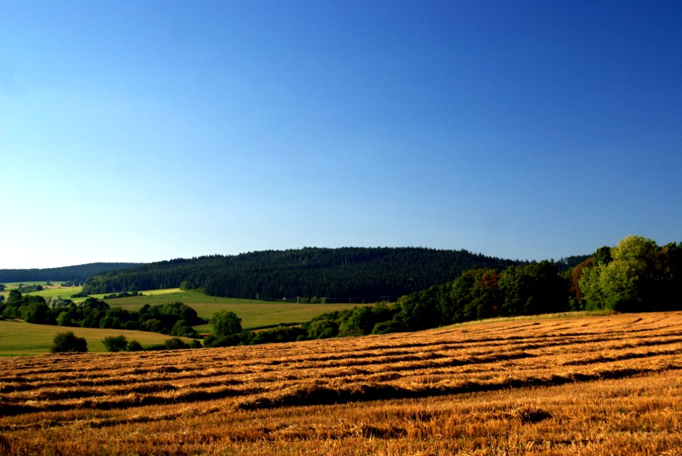 Sony Alpha A230 with MIR-1V- Landscape