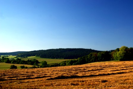 Sony Alpha A230 with MIR-1V- Landscape