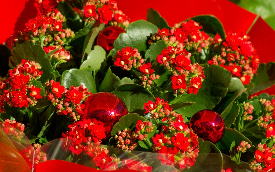 Flowers christmas bouquet