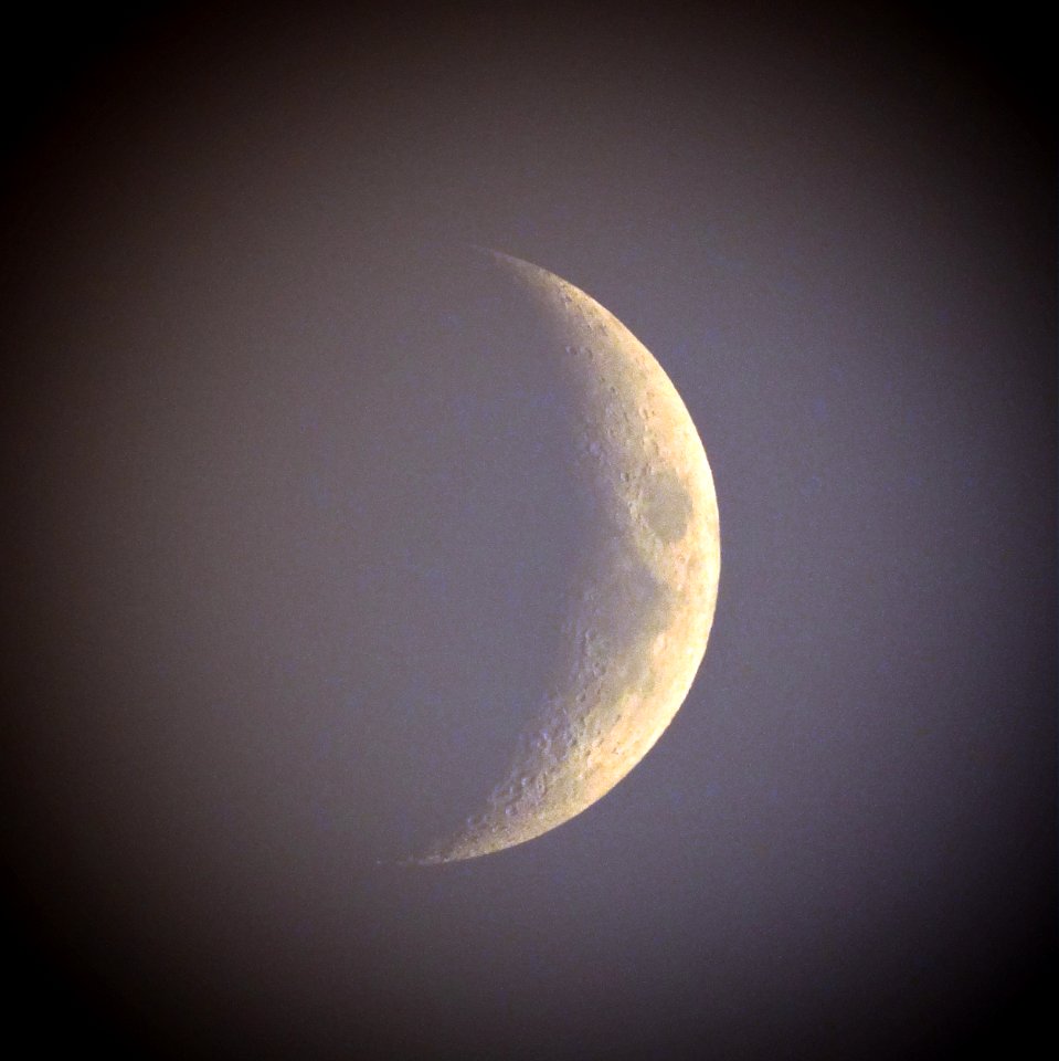 25% Illuminated