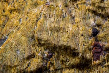 beach textures