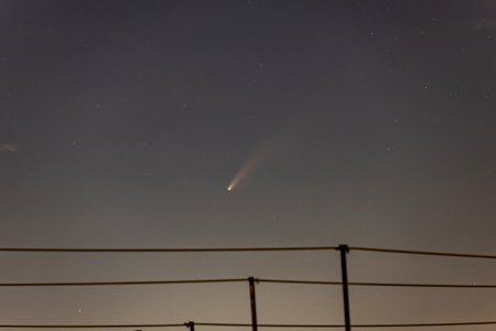 Comet Neowise (C/2020 F3) photo
