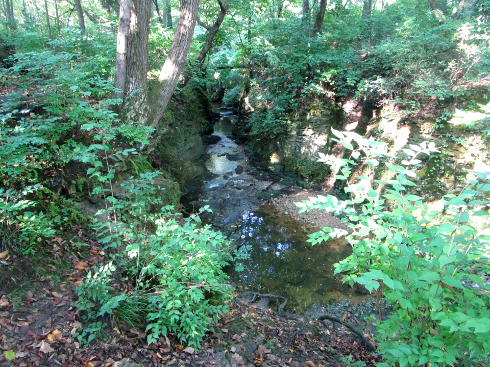 IMG 0430 Perry Farm Park Ravine Kankakee Co IL 9-30-2018