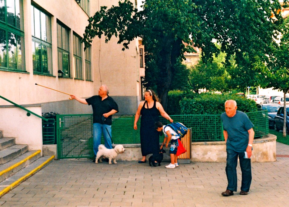 Praktica MTL 5 +  Helios 44-2 2/58 - European Parliament Election in Czech Republic - Voters