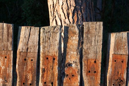 Limit faces demarcation