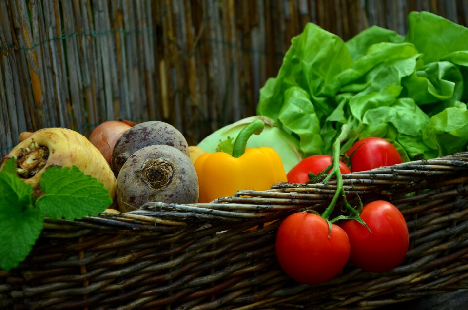 Salad garden harvest