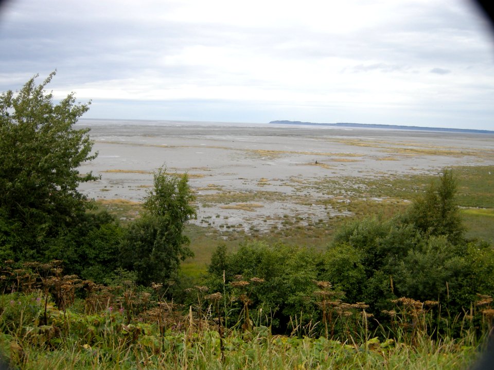 DSCN0591c Carr Gottstein Park Anchorage AK 8-20 2018