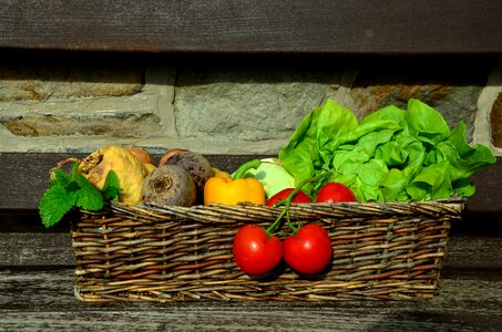 Vegetable basket garden harvest photo