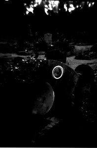 Holga 120FN - Old WW1 Graves 2