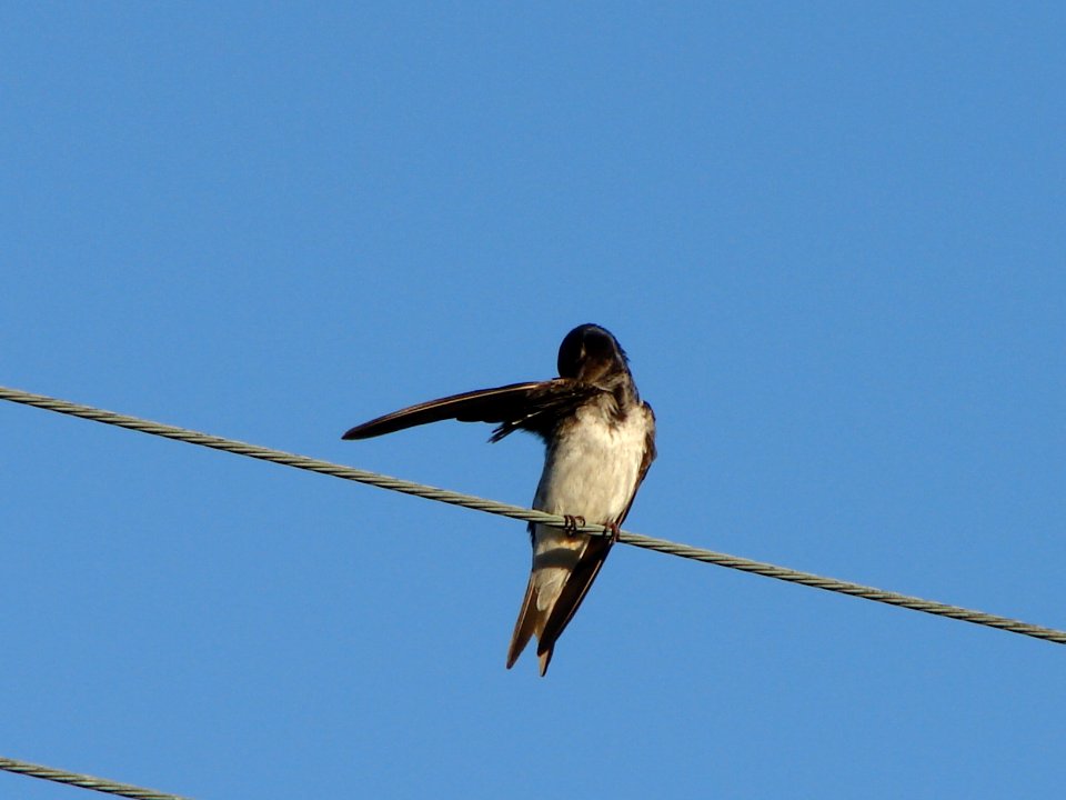 Boqueirão Sul Ilha Comprida