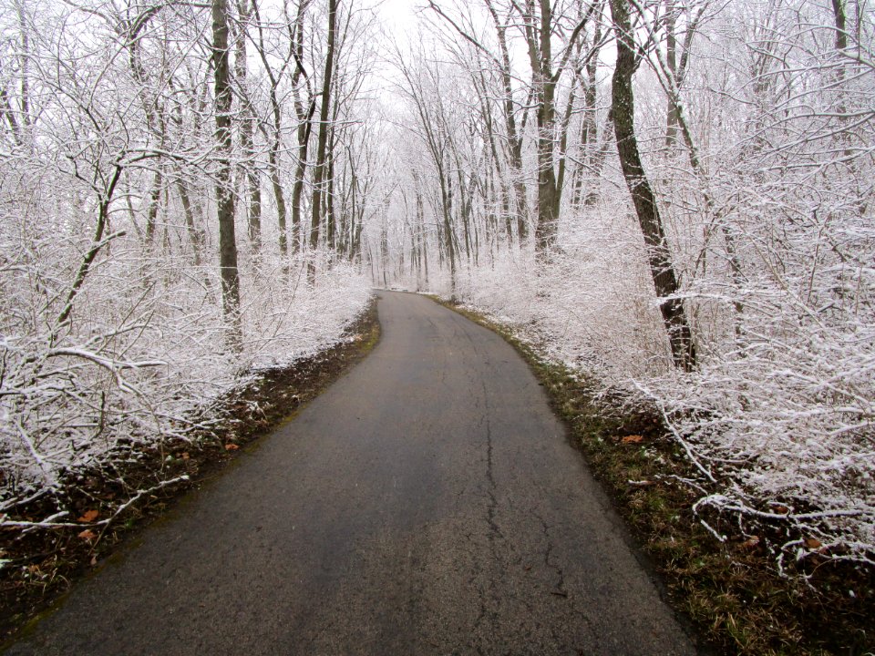IMG 3676c Perry Farm River Trail Kankakee Co IL 4-9-2018