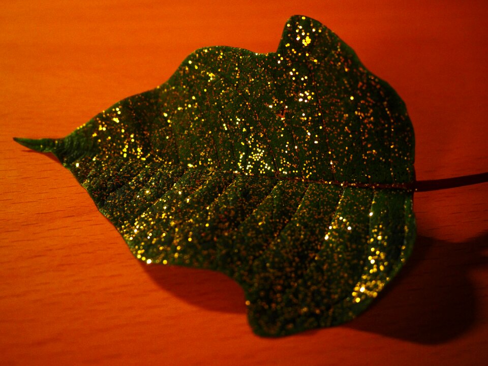Gold dust christmas ornament