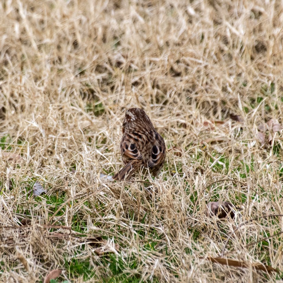 Are you looking at me?