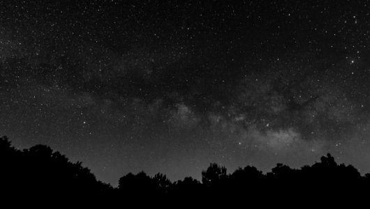 Milky Way Rising over Georgia