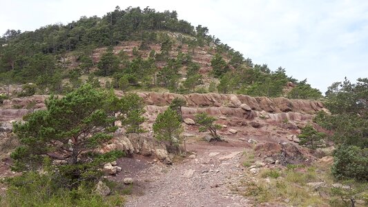 Hill parking forest