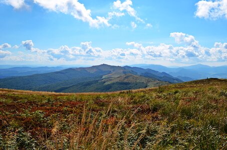 Nature sky view